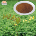 Natural herbal extract Horny Goat Weed Extract Icariin 98%